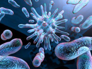 Bacterial Infections 2343