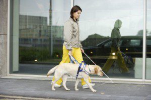 Blind Woman And Seeing Eye Dog Walking On Sidewalk 75019825 5a3417ad96f7d00036b7fcaf